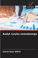Audyt ryzyka zawodowego (Polish Edition) 6209521398 Book Cover
