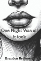One night was all it took B0C7J53J92 Book Cover