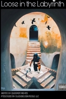 OutsideLookingOut LLC Presents: Loose In The Labyrinth 0359006035 Book Cover