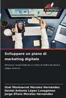 Sviluppare un piano di marketing digitale (Italian Edition) 6207537092 Book Cover