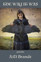The Way It Was 1952326494 Book Cover