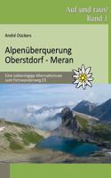 Alpenüberquerung Oberstdorf - Meran: Eine siebentägige Alternativroute zum Fernwanderweg E5 3732278921 Book Cover