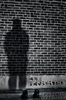 Mr. Invisible: A Compilation of Poems 1544754175 Book Cover