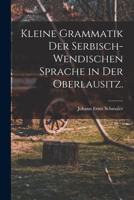 Kleine Grammatik der serbisch-wendischen Sprache in der Oberlausitz. 101920625X Book Cover