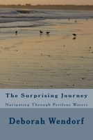 The Surprising Journey: Navigating Through Perilous Waters 1537730738 Book Cover