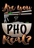 Are You Pho Real: 50 Page Chinese Recipe Journal 1079476253 Book Cover