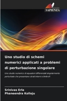Uno studio di schemi numerici applicati a problemi di perturbazione singolare (Italian Edition) 6208467535 Book Cover