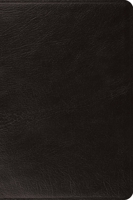 ESV Large Print Bible (Top Grain Leather, Black) B0GNMPNKTH Book Cover