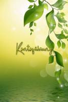 Kontof�hrung: Meine Kontof�hrung im �berblick mit dem Kontof�hrungs Buch - Debitorenbuchhaltung - Buchhaltungsbuch - E�R 1098725379 Book Cover