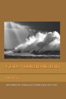 Gods voorzienigheid: Deel 2 (Dutch Edition) B0DR5NJN5N Book Cover