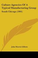 Culture Agencies Of A Typical Manufacturing Group: South Chicago 1164615807 Book Cover
