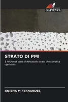 Strato Di PMI (Italian Edition) 6209663109 Book Cover