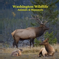 Washington State Animals and Mammals Kids Wildlife Book: Great Washington State Animals book with Lifelike Images and Fun Facts 1965098975 Book Cover