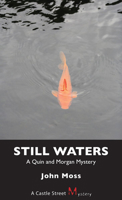 Still Waters: A Quin and Morgan Mystery 1550027905 Book Cover