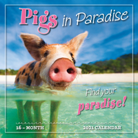 2021 Pigs in Paradise 16-Month Wall Calendar 1531910254 Book Cover