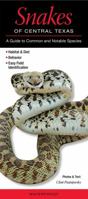 Snakes of Central Texas: A Guide to Common & Notable Species 0982551630 Book Cover