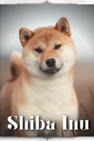 Shiba Inu: Dog breed overview and guide B0C9S1X789 Book Cover