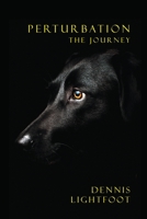 Perturbation : The Journey 0992531861 Book Cover