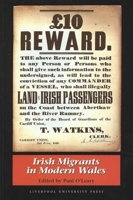 Irish Migrants in Modern Wales 0853238480 Book Cover