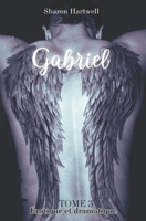 Gabriel: Tome 3 (French Edition) B0FB61PTXZ Book Cover