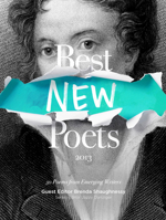 Best New Poets 2013: 50 Poems from Emerging Writers 0976629682 Book Cover