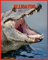 Alligator: Recueil d’Informations Amusantes pour Enfants & Photos Etonnantes B08W7DPTVG Book Cover