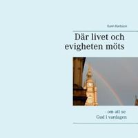 Där Livet Och Evigheten Möts (Swedish Edition) 9177853636 Book Cover