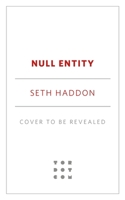 Null Entity (The Volatile Memory Duology, 2) 1250395984 Book Cover