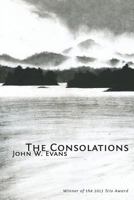 The Consolations 0985529245 Book Cover