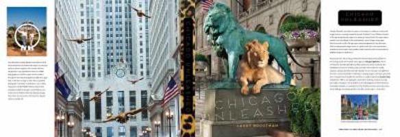 Chicago Unleashed 1893121615 Book Cover