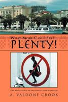 What More Can I Say? . . . Plenty!: A graphic mosaic of one family's time in Croatia 1462894275 Book Cover