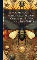 Lepidoptera Of The Adirondack Region Collected By W.w. Hill, In 1875-1878 1024539172 Book Cover