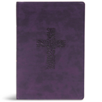 KJV Rainbow Study Bible, Black LeatherTouch 1087721873 Book Cover