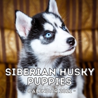 Siberian Husky Puppies Calendar 2021: 16-Month Calendar, Cute Gift Idea For Siberian Husky Lovers, Women & Men B096M1KYP3 Book Cover