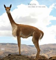 Vicuna: The Queen of the Andes 8857213862 Book Cover