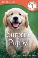 Surprise Puppy (DK Readers: Level 1 (Turtleback)) 0756692954 Book Cover