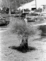 Gianni Pettena: 1966–2021 8867493647 Book Cover