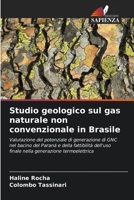 Studio geologico sul gas naturale non convenzionale in Brasile (Italian Edition) 6208371813 Book Cover