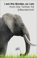 My Brexit 0008356998 Book Cover