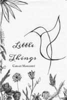 Little Things 1387545787 Book Cover