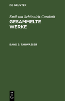 Tauwasser (German Edition) 3112342097 Book Cover
