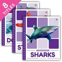 Ocean Animals (Set) 1532163363 Book Cover