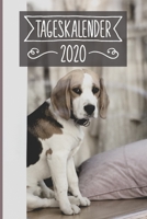 Tageskalender 2020: Terminkalender ca DIN A5 weiß über 370 Seiten I 1 Tag eine Seite I Jahreskalender I Beagle I Hunde 1702074935 Book Cover