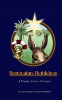 Destination: Bethlehem 0615218008 Book Cover