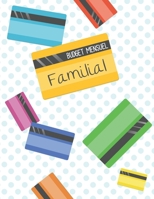 Budget mensuel familial: Journal de caisse, registre comptable de famille, privé, personnel | 100 pages de 25 lignes chacune| 102 pages | Carte de crédit | Format A4 8,5" x 11" (French Edition) 1700312669 Book Cover
