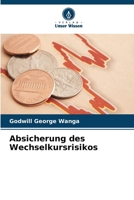 Absicherung des Wechselkursrisikos (German Edition) 6207601351 Book Cover