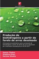 Produção de biohidrogénio a partir de farelo de arroz desoleado 6209365183 Book Cover