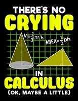 There's No Crying In Calculus (OK, Maybe A Little): There's No Crying In Calculus (Ok, Maybe a Little) Blank Sketchbook to Draw and Paint (110 Empty Pages, 8.5 x 11) 1712983954 Book Cover