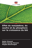 Effet du molybdène, du soufre et du phosphore sur la croissance du blé 6205777401 Book Cover