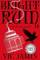 Bright Ruin 0425284204 Book Cover